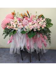 Opening Flower 58